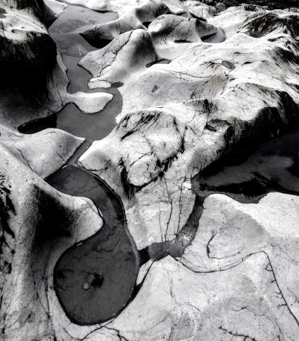 Tide Pool Olympic National Park